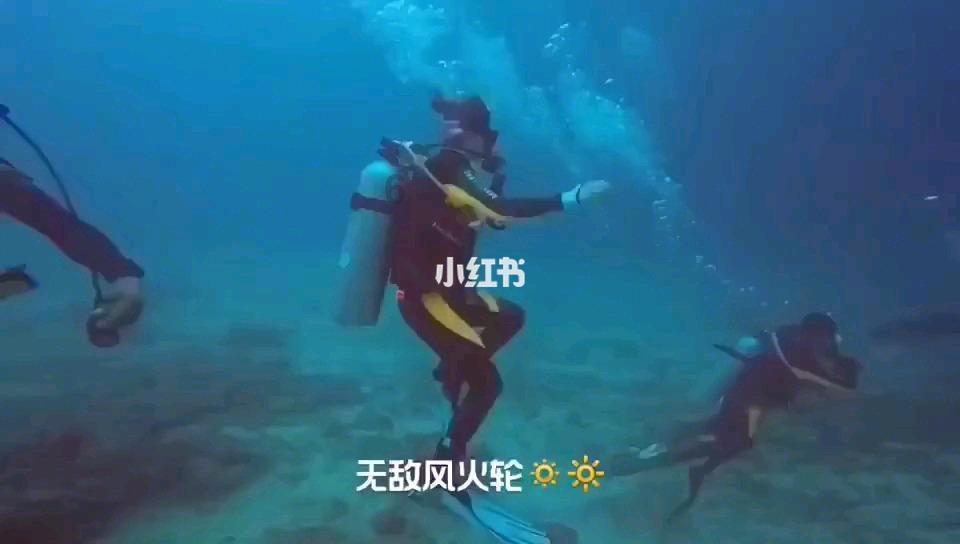 阴暗森林