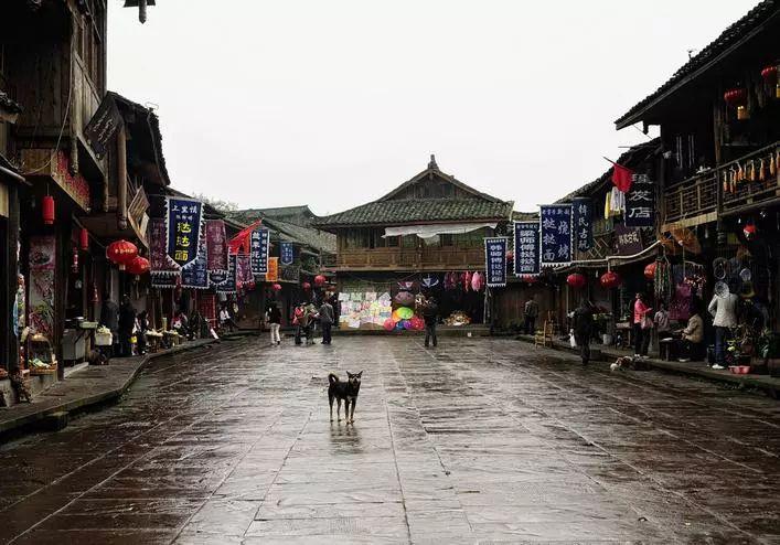 “见证美牙盛典 创业新起航”口腔美学分享会圆满落幕